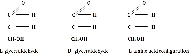 Stereoisomerism of amino acids